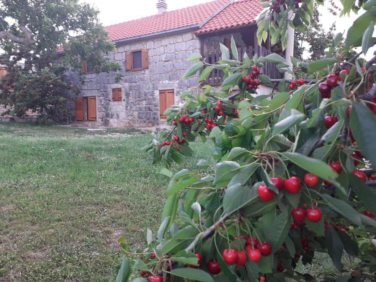 Patakun Holiday Home For 5, With Heated Pool Lecevica Exterior foto